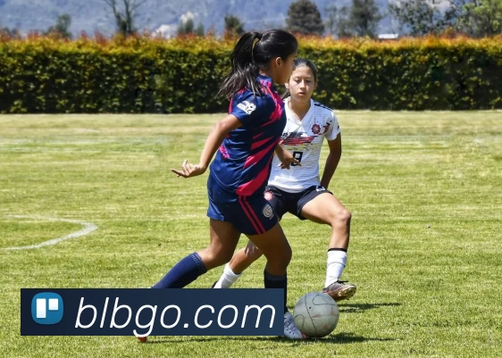 百乐博官网平台生态图