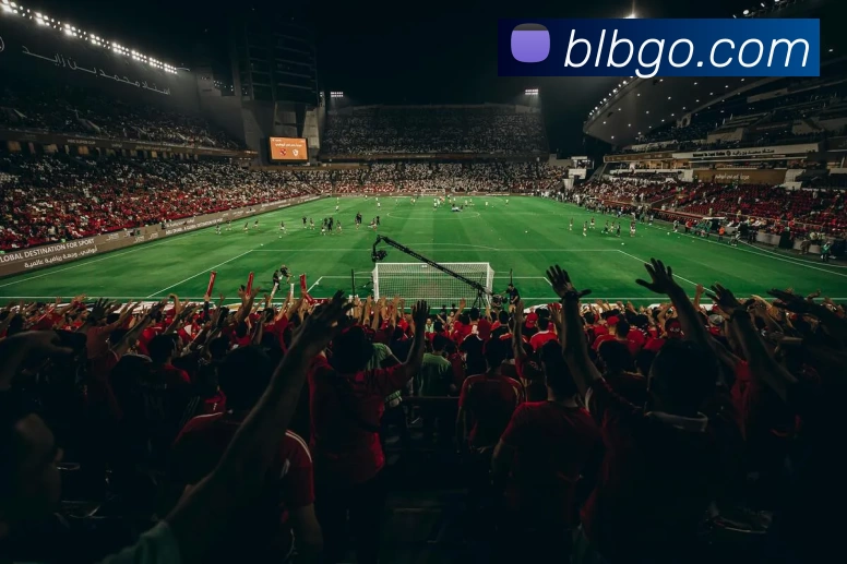 百乐博官网APP 封面图