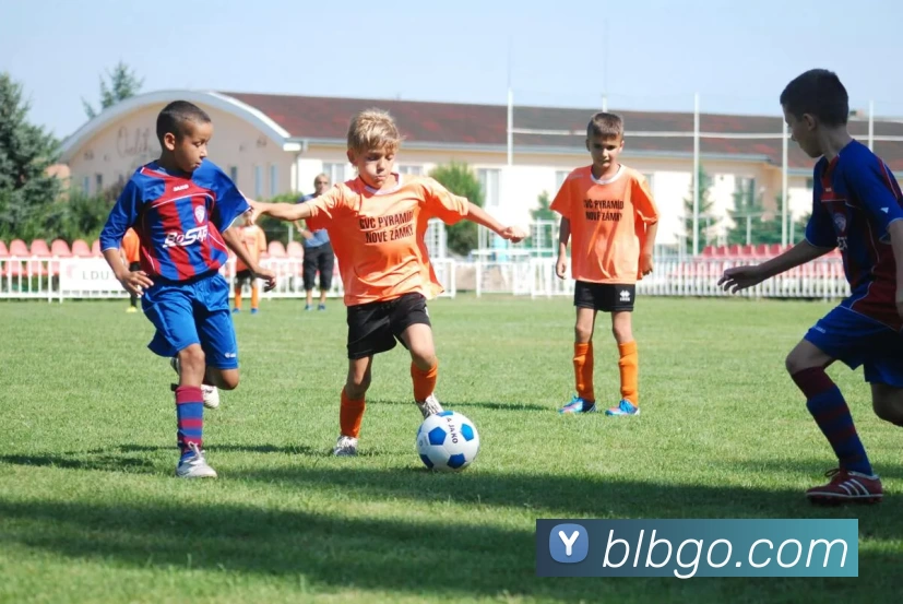 数据防护可视化